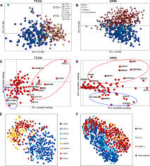 Ets is committed to advancing quality and equity in education for all people worldwide through assessment development, educational research, policy studies and more. Distinct Transcriptional Repertoire Of The Androgen Receptor In Ets Fusion Negative Prostate Cancer Prostate Cancer And Prostatic Diseases