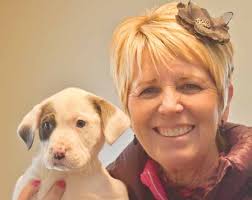 Horse crushes carriage service owner