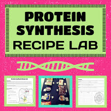 Protein Synthesis Recipe Lab Teaching Biology Protein