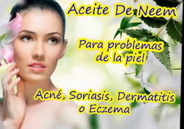 Aceite De Neem Origen Usos Propiedades Y Beneficios