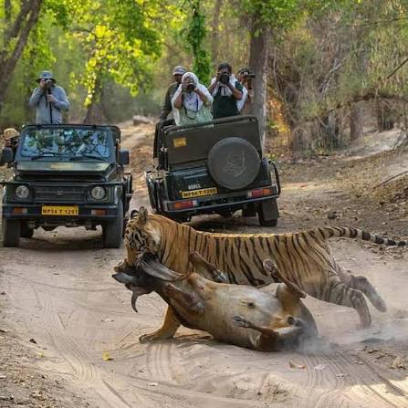 From Delhi: 6-Day Golden Triangle Tour with Ranthambore