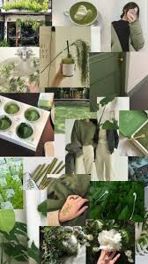 Wallpaper ppt warna hijau muda. Pin Oleh Abdiel Elio Di Pidge S Board Wallpaper Ponsel Dinding Gambar Poster Bunga