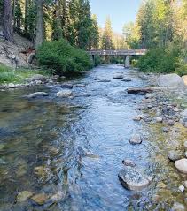 Image result for Sand Light 1977 Crown