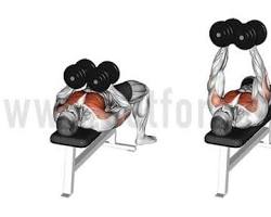 Image of Dumbbell Chest Dips exercise