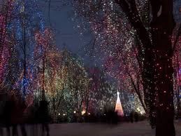 Lights decorating the house and trees on the property are synchronized with the music giving fans a unique christmas light show experience. Bringing You Up To Speed On The Best Christmas Events In Westbury And Long Island Westbury Toyota Blog