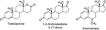 Examestane in advanced or recurrent endometrial carcinoma: Exemestane An Overview Sciencedirect Topics