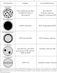 Image result for ANA Staining Pattern