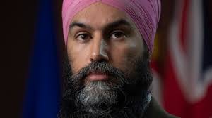 New Democrats reconvene as hiccups, frustrations plague national policy  convention