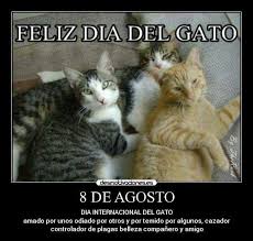 Si tienes un gato, lo mejor que puedes hacer es dedicarle un rato a tu mascota, ya sea jugando con él a lo que más le guste, darle alguna chuchería, o bien simplemente cogerlo y acariciarlo, algo que a ellos les encanta. Felicidad Para Los Gatos Los Dioses Lo Protejan Dia Internacional Del Gato Gatos Feliz Dia