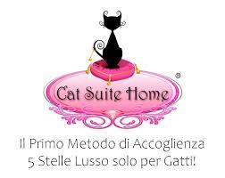 Catsuitehome