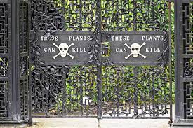 Step Inside The World S Most Dangerous Garden If You Dare Poison Garden Deadly Plants Alnwick