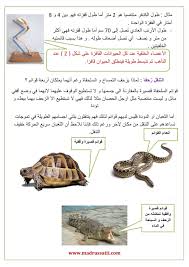 التنقل عند الحيوانات التنقل في البر موقع مدرستي