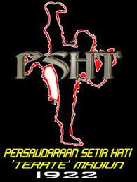 19 Ide Psht Gambar Seni Bela Diri Pencak Silat