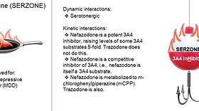 Image result for Nefazodone