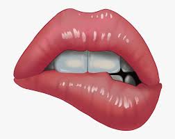 Large collections of hd transparent sticker png images for free download. Funny Whatsapp Stickers Png Transparent Png Kindpng