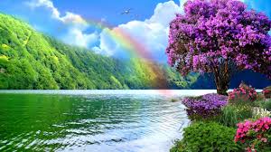 Check spelling or type a new query. Beautiful Natural Rainbows Hd1080p Youtube
