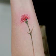 Maybe you would like to learn more about one of these? 9 Carnation Tattoo Ideas Carnation Tattoo Carnations Green Carnation