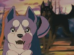 Darcia of the awesome anime wolf's rain!!! Jerome Gif 450 333 Pixels Warrior Cats Fan Art Anime Furry Art