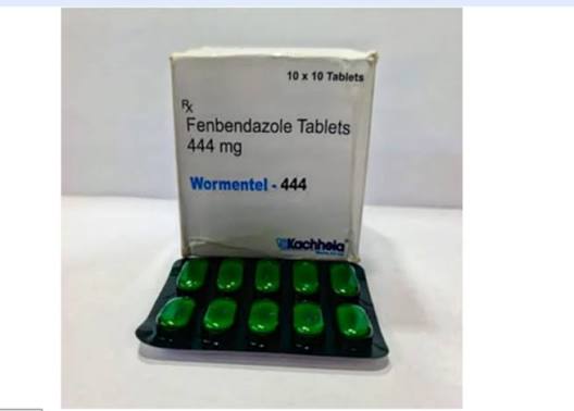 444Mg Fenbendazole Tablets - Drug Type: General Medicines at 200.00 INR in Gurugram, Haryana | Oncofit Solutions Private Limited