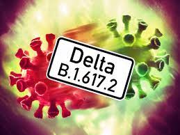By aya elamroussi, cnn updated 4:31 am edt, fri july 9, 2021 cnn. Corona Gefahrdet Die Delta Variante Das Ziel Der Herdenimmunitat Wissen