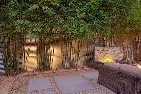 Amazing ideas for bamboo fences to decorate your yard and garden my desired home. 51 Beautiful Backyard Bamboo Garden New Ideas For A Backyard Garden Dokterandalan