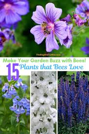 Check spelling or type a new query. 15 Bee Friendly Perennials To Make Your Garden Buzz
