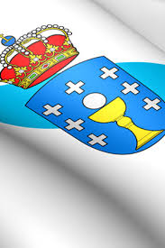 The creator and year of publication are essential information and must be provided. La Bandera Xunta De Galicia