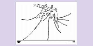 Check spelling or type a new query. Free Mosquito Colouring Page Colouring Sheets