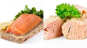 Keberadaan ikan salmon di perairan indonesia juga sebenarnya melimpah ruah namun, karena kurangnya eksplorasi membuat ikan salmon ini tidak begitu banyak dikonsumsi. Ikan Salmon Atau Ikan Tuna Mana Yang Lebih Sehat Untuk Anak Kumparan Com