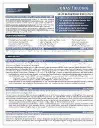 Cv help use our expert guides to improve your cv writing. Samples Executive Resume Services