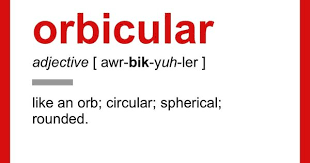 Orbicular Words Word Of The Day English Vocabulary Words