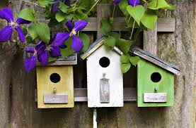 The first nest box for the brown. Nistkasten Richtig Aufhangen Und Ubersicht Schoner Modelle Living At Home