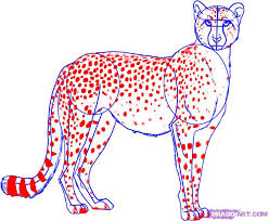 Draw outline for middle shape of the face as shown & lips. How To Draw A Cheetah Step 5 Cheetah Pictures Cheetah Drawing Easy Animal Drawings