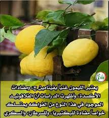 Pin By Aya Zoubeir On Fruits In 2020 Fruit Food Apricot