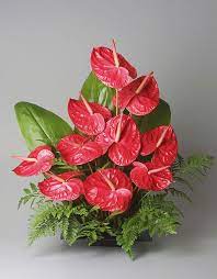 Pin On Holidays From Hawaii