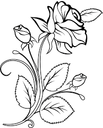 Telechargez Ou Imprimez Cette Incroyable Coloriage Coloriage Une Rose Et Des Boutons De Rose Dory Coloriages Coloriage Rose Coloriage Coloriage Fleur
