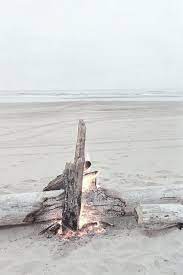 Darling Be Daring Beach Fire Beach Life Beach