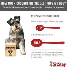 Coconut Oil For Dogs The Ultimate Guide 2021 Sitstay