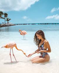 Aruba's past unfolds in the dutch architecture of its bustling capital, oranjestad, and on a hike past the abandoned gold mines in arikok national park. Flamingo Beach Aruba Is It Really Worth It Stay Close Travel Far