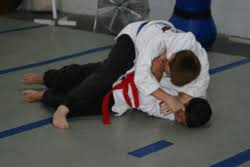 Unlike most martial arts, hapkido is a complete system teaching kicks, punches, pressure point techniques, throws, joint locks, weapons, free fighting, . Hapkido Wikipedia