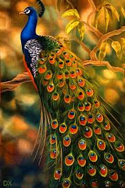 Bird Is The Word Gif Https Encrypted Tbn0 Gstatic Com Images Q Tbn 3aand9gcszqwwrs8dvovtaco7szn6iao0wttf4yucima Usqp Cau