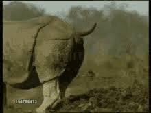 Check spelling or type a new query. Pelosi Gifs Tenor