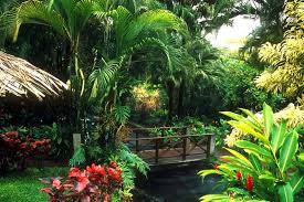 Pin On Jardines De Costa Rica