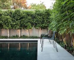 We did not find results for: 70 Bamboo Garden Design Ideas How To Create A Picturesque Landscape