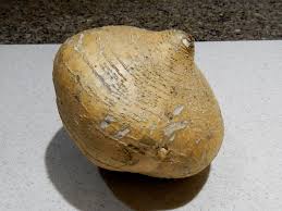 Maybe you would like to learn more about one of these? In The Kitchen Jicama Scrapdeli