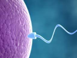 Infertility Causes Diagnosis Risks And Treatments