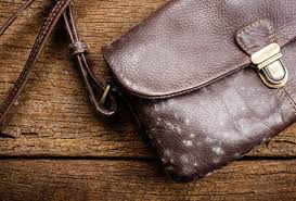 Using one part white vinegar and two parts olive oil, combine ingredients and then using a tooth brush or cleaning brush, gently scrub the stain with the mixture. How To Remove Mold From Your Leather Bag