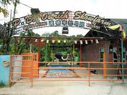 Daily life of the adams. Pd Ostrich Show Farm Port Dickson Ticket Price Timings Address Triphobo