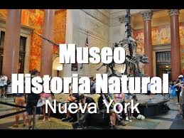 Nueva York Museo Historia Natural Youtube