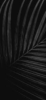 Widescreen, ultra wide & multi display desktops : Ultra Hd Black Wallpaper Iphone X Data Src W Full 1 6 8 457562 Black Background Iphone X 1125x2436 Download Hd Wallpaper Wallpapertip